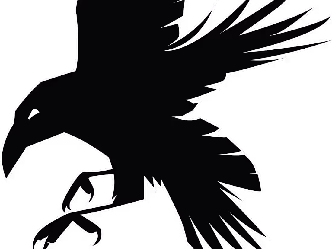 Cover image for Portfolio