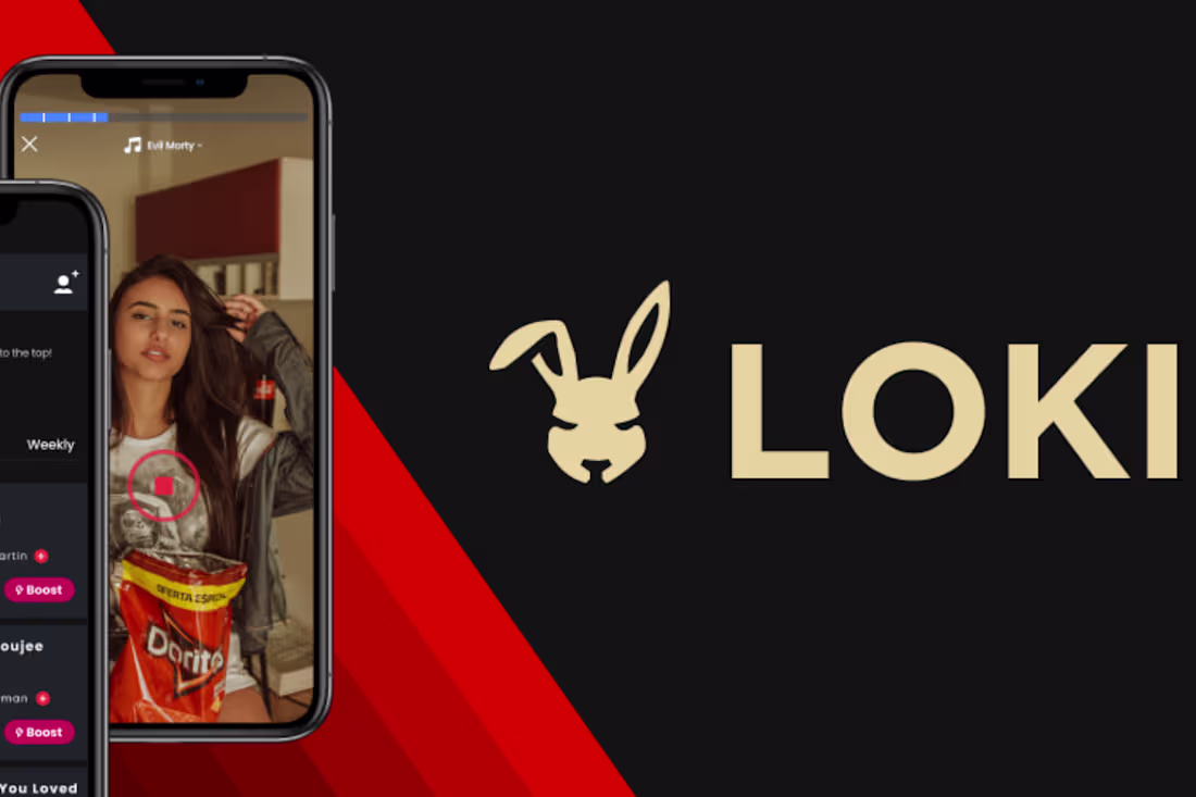 Cover image for LOKI