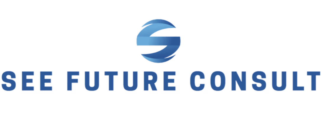 Cover image for See Future Consult
