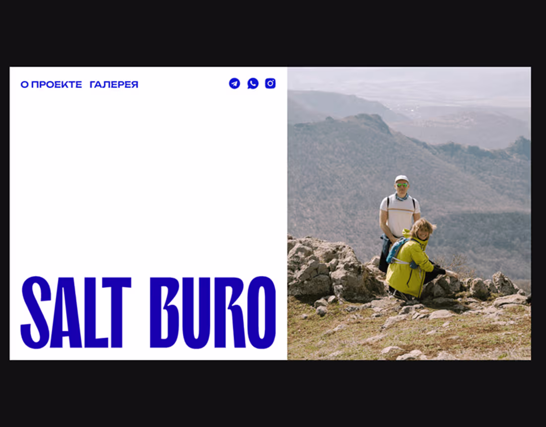 Cover image for Website for Salt Buro