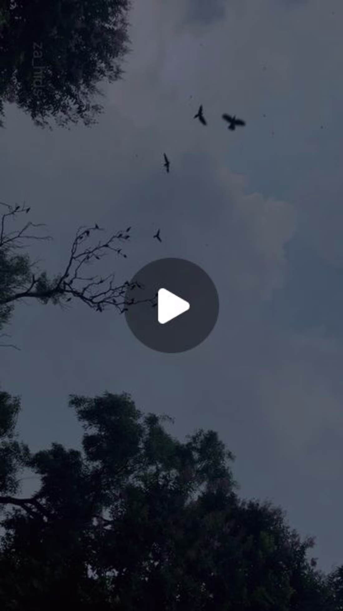 Cover image for Zahidul Islam on Instagram: “The nature of peace🍀
.
.
. #natur…