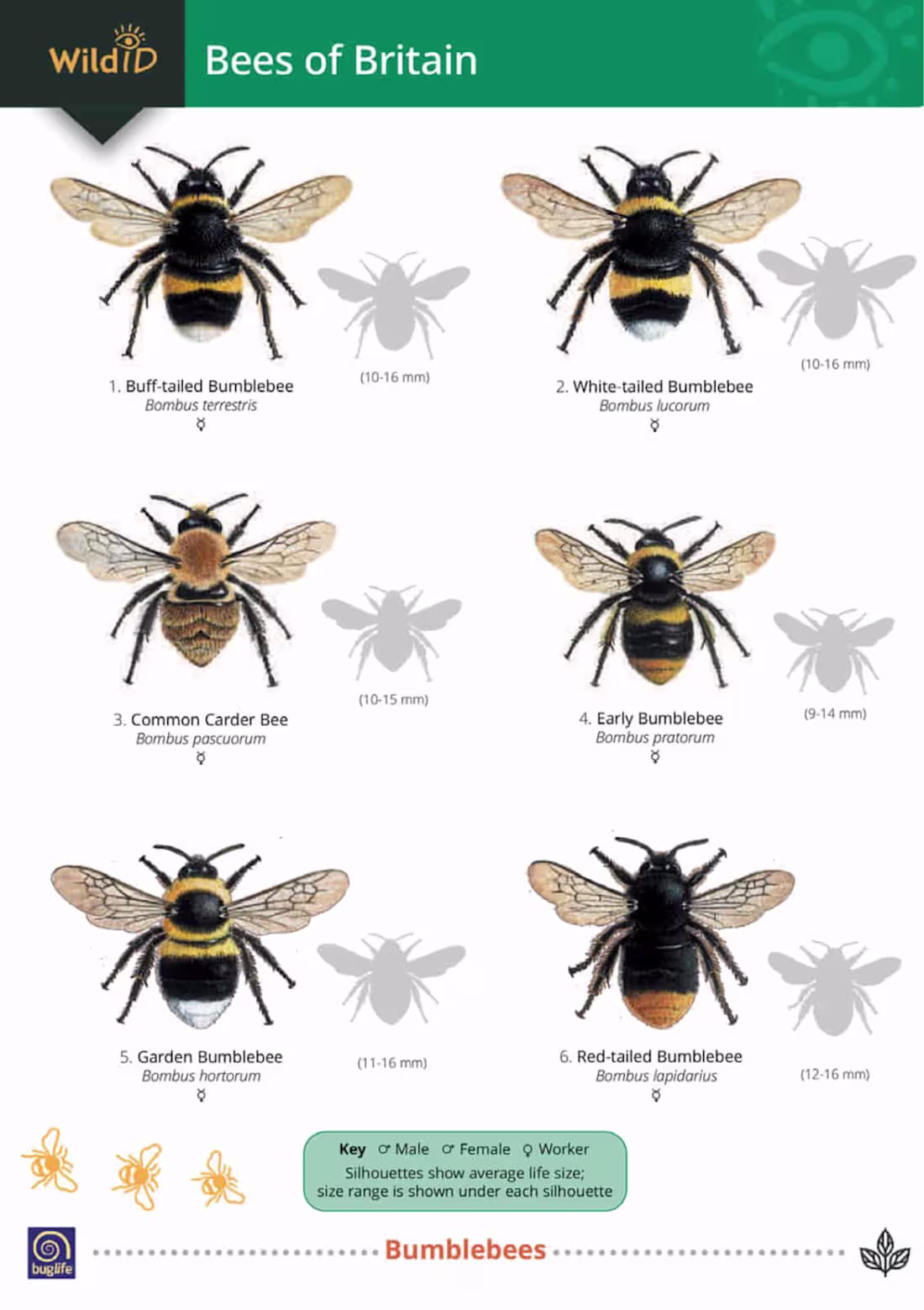 Cover image for Spec Work for Field Studies Council