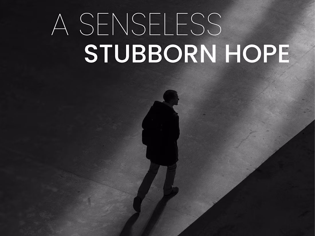 Cover image for A Senseless Stubborn Hope