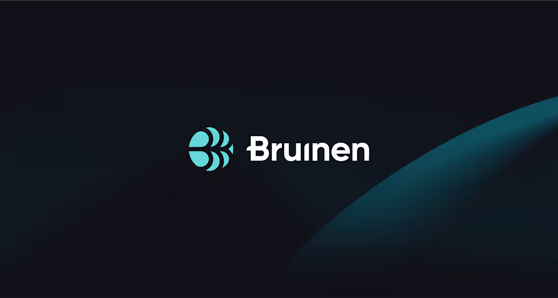 Cover image for SaaS AI Platform for Data Management | Bruinen