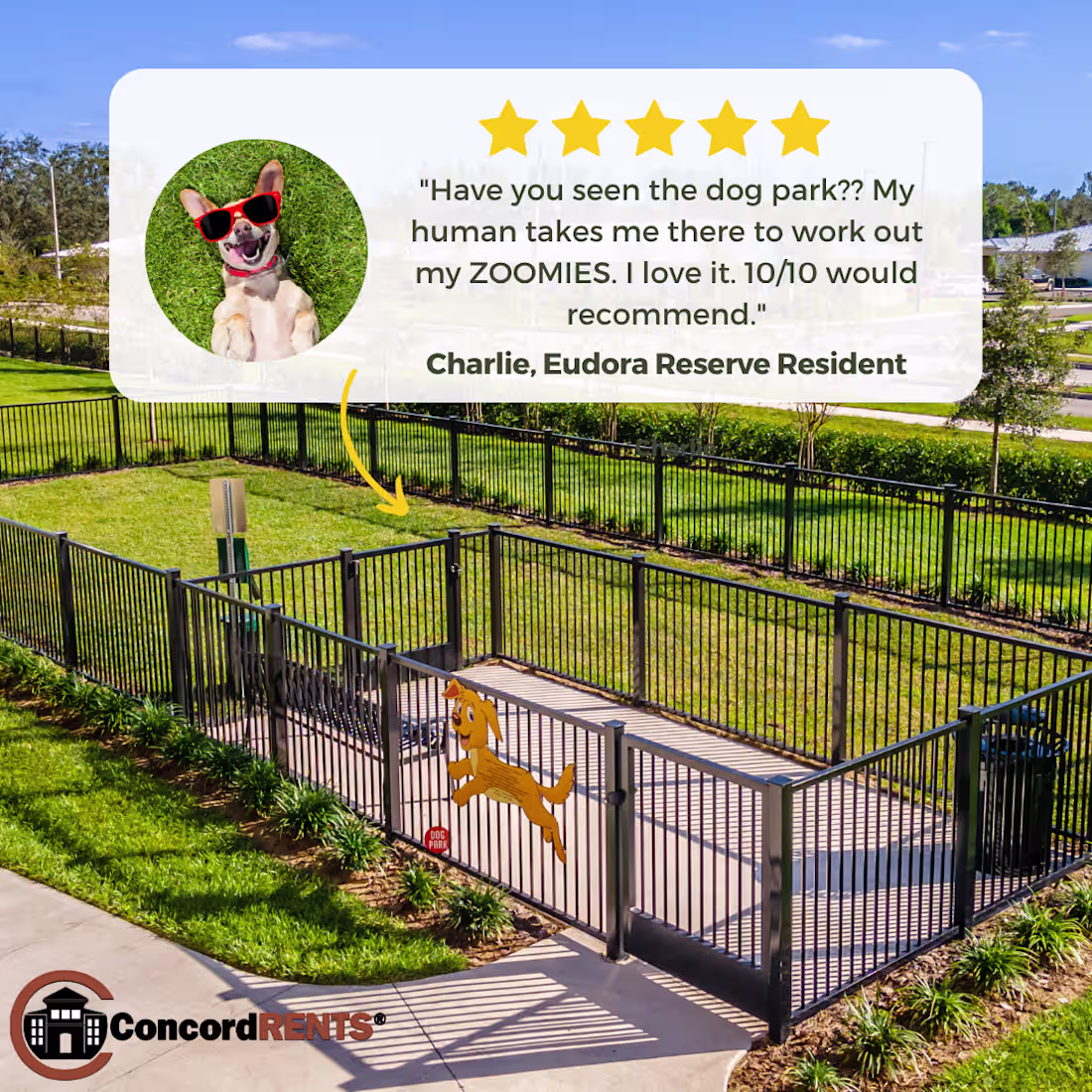 Cover image for Social Media Graphic - Dog Reviews Apartment Complex