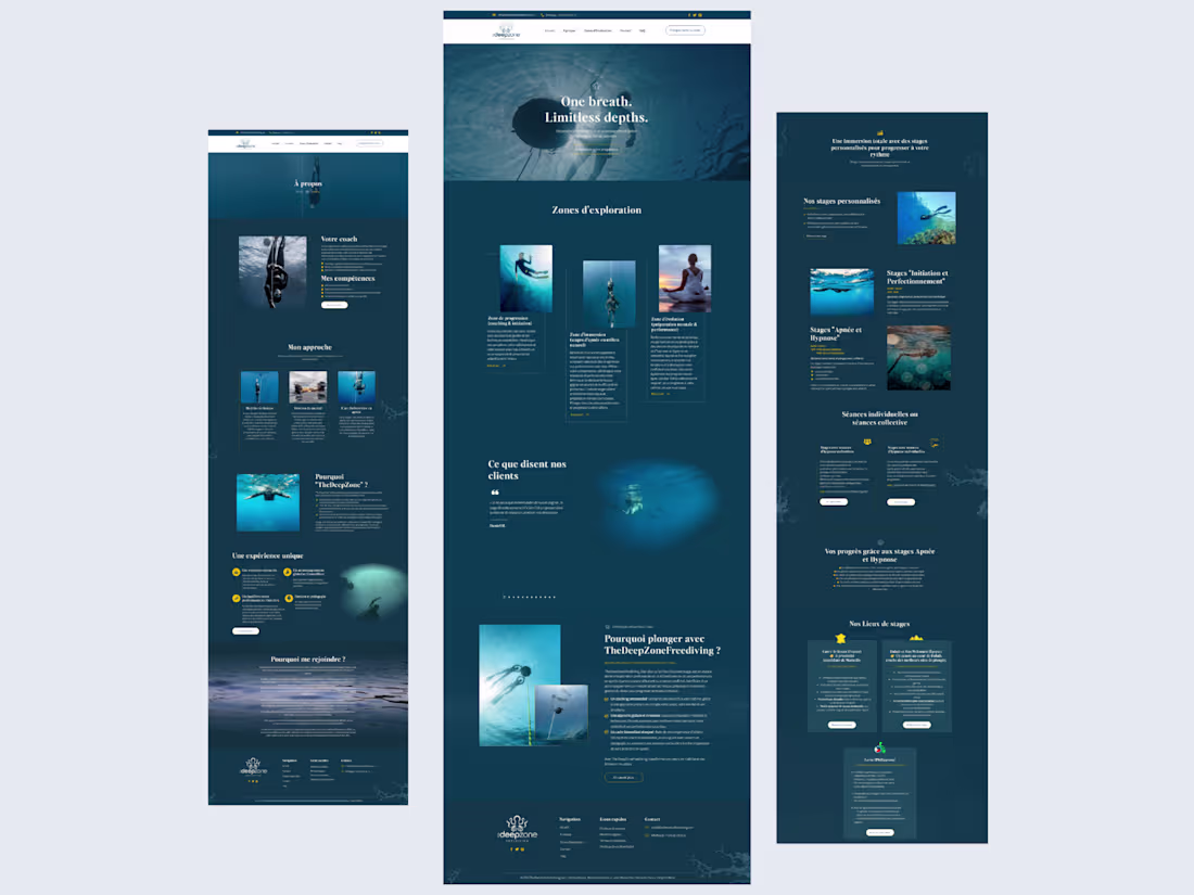 Cover image for I designed and developed a