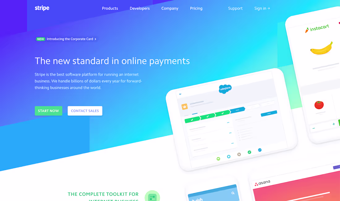 Cover image for Stripe Investment