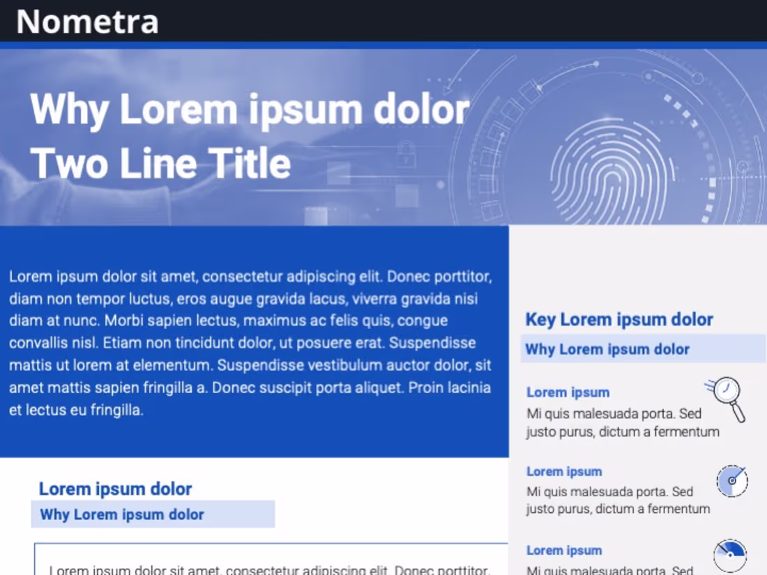 Cover image for Nometra Intelligence Platform Proposal
