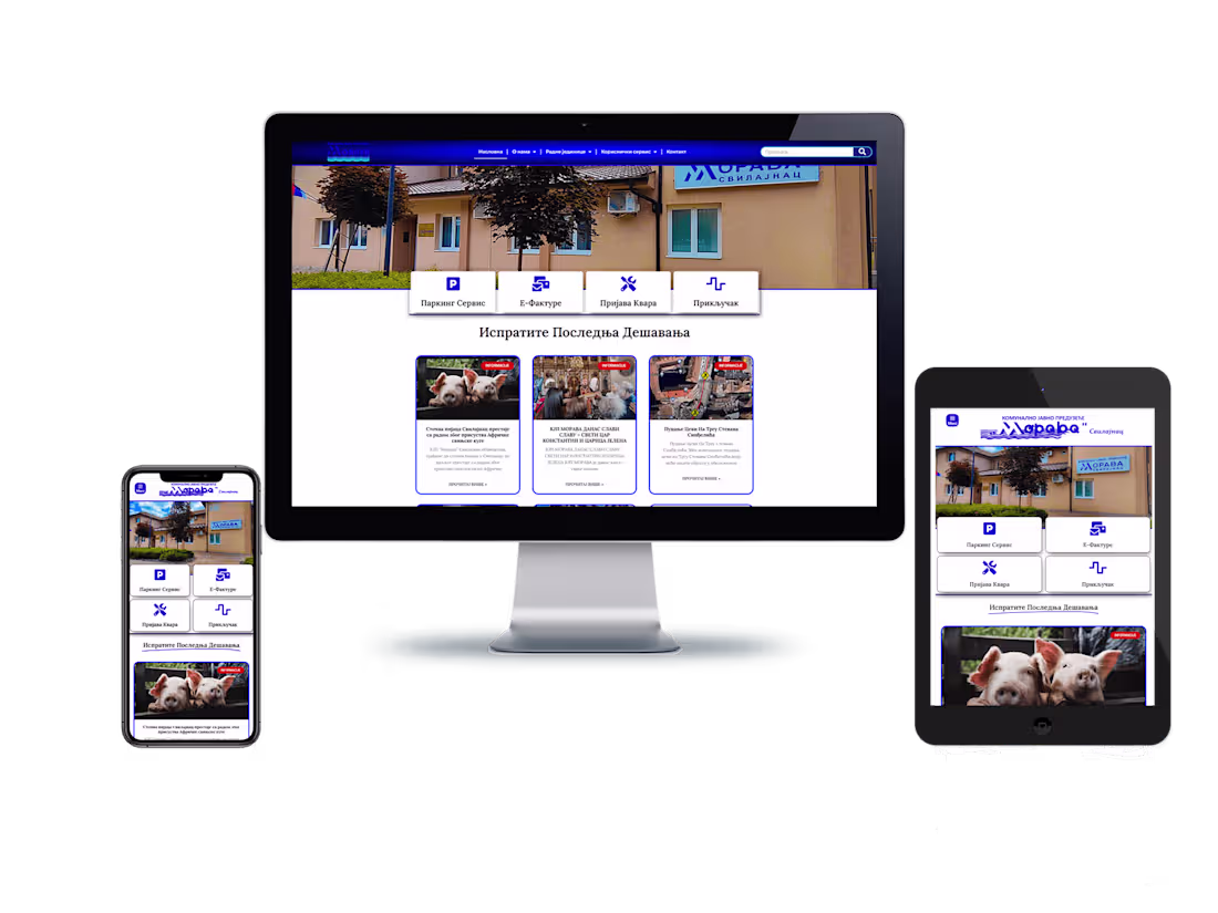 Cover image for Project: City Water Supply