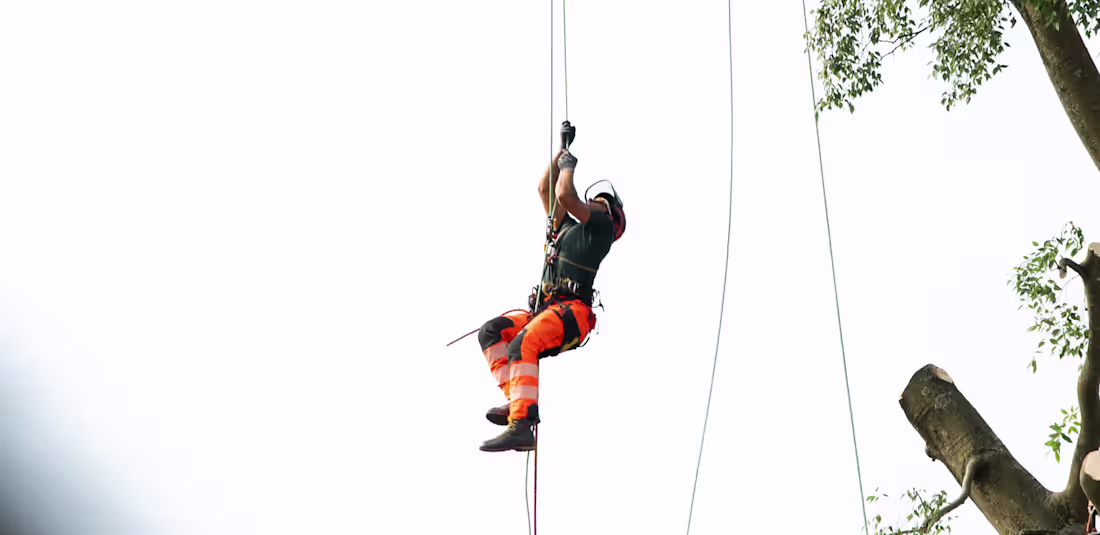 Cover image for Gravity Garden Website Design