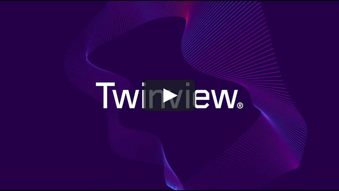 Cover image for Twinview