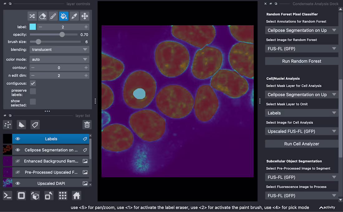Cover image for PyCAT-Napari Bio-image Analysis Platform