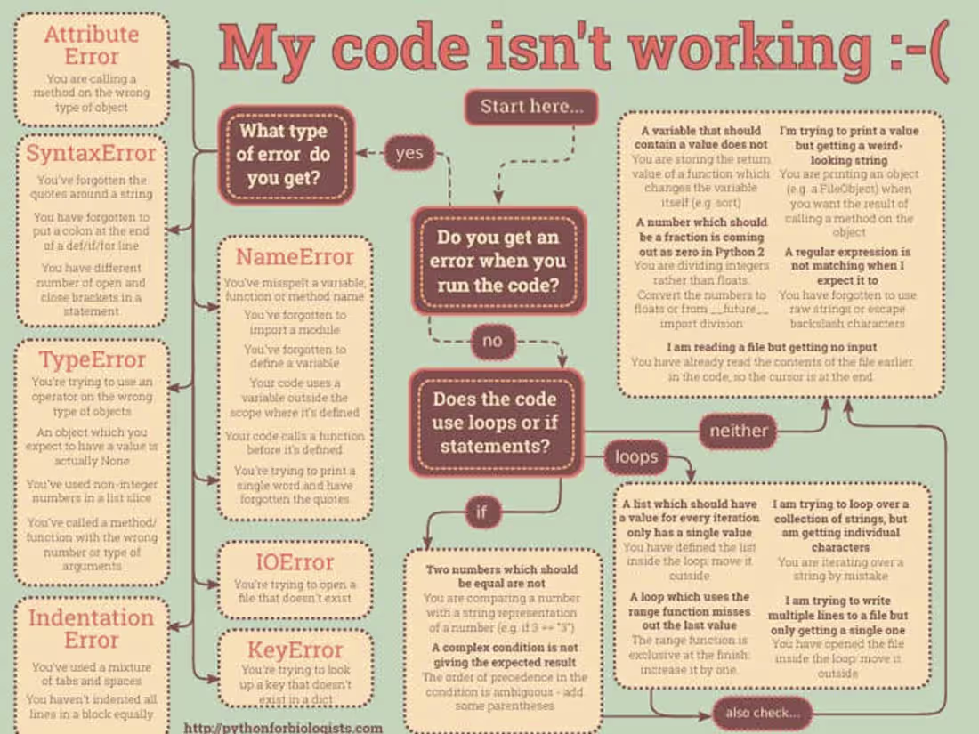 Cover image for Professional website wireframes and mockups.