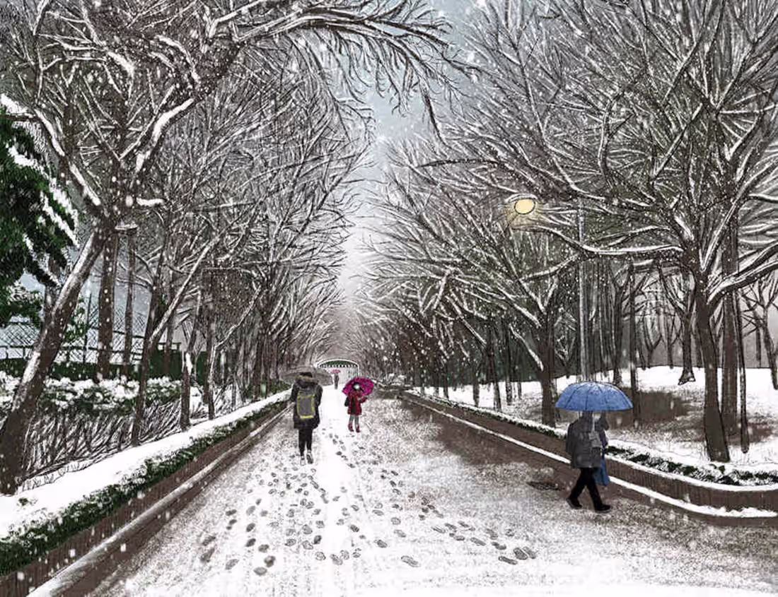 Cover image for A snowy landscape