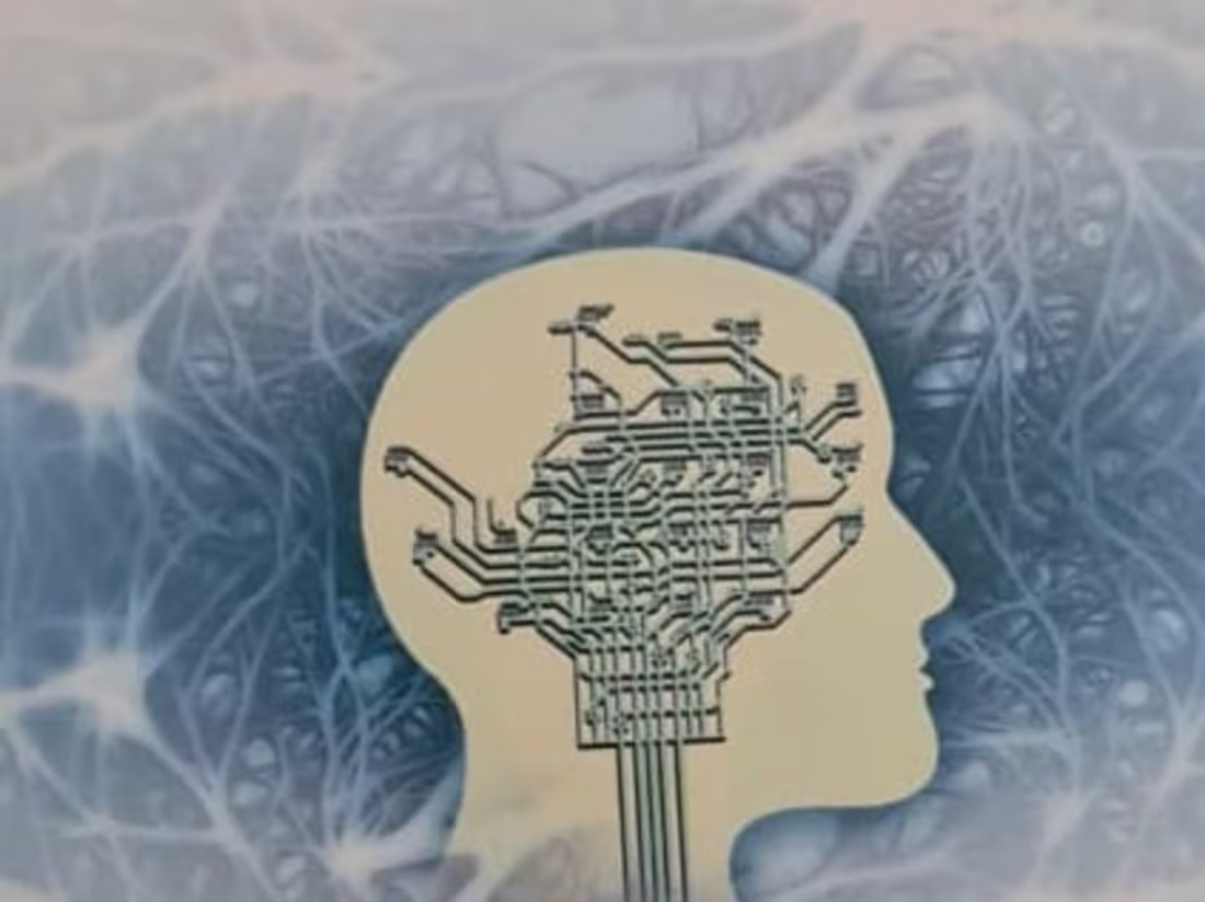 Cover image for Translator