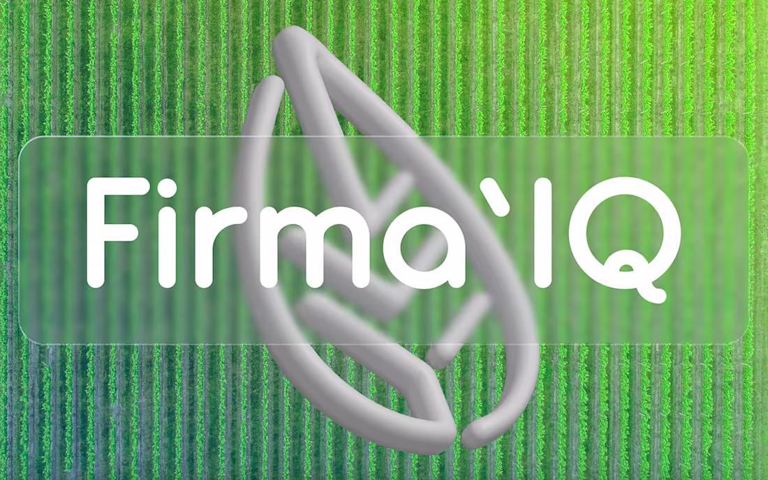 Cover image for Firma'IQ Branding 