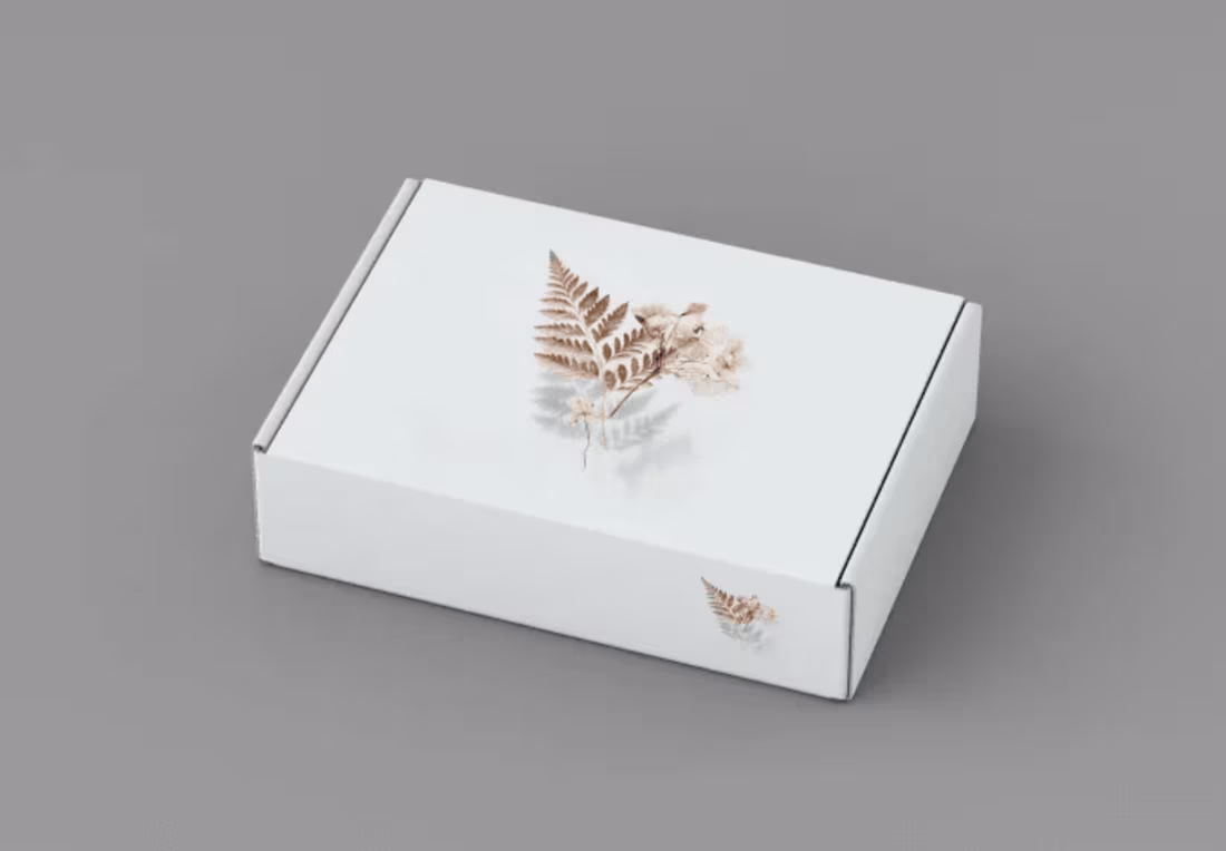 Cover image for Box packaging