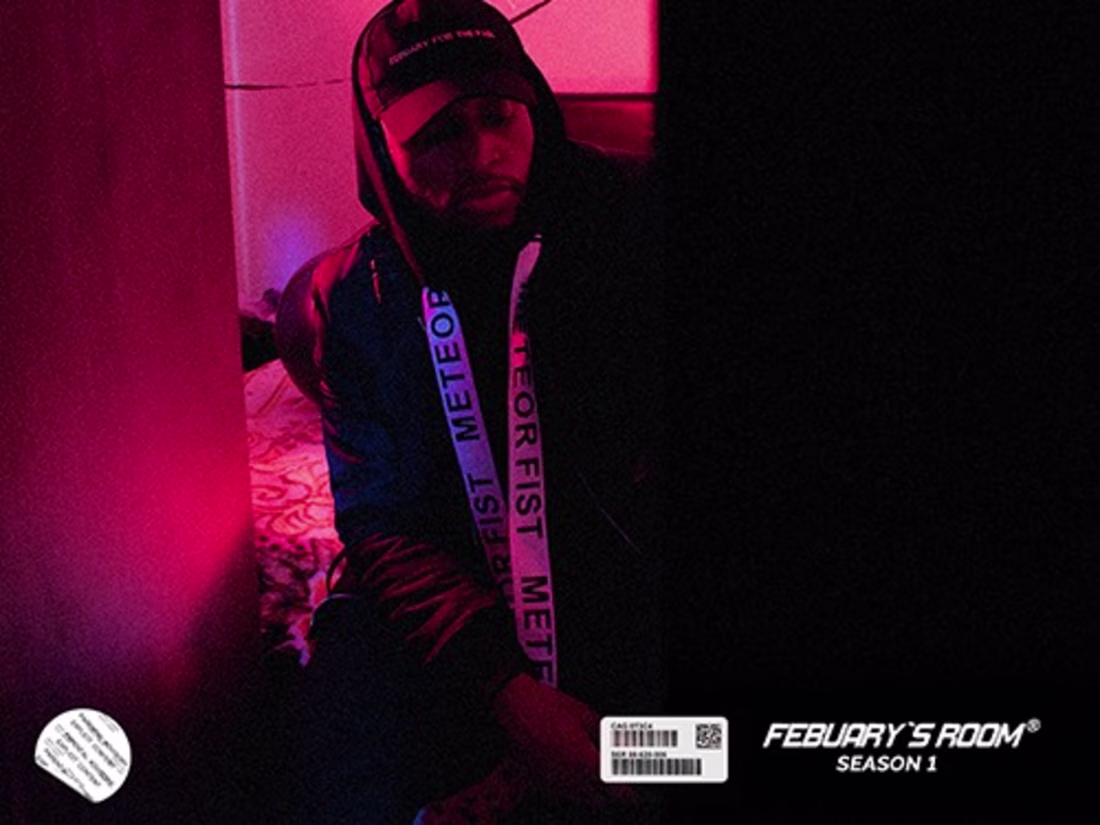 Cover image for Conceptual Development