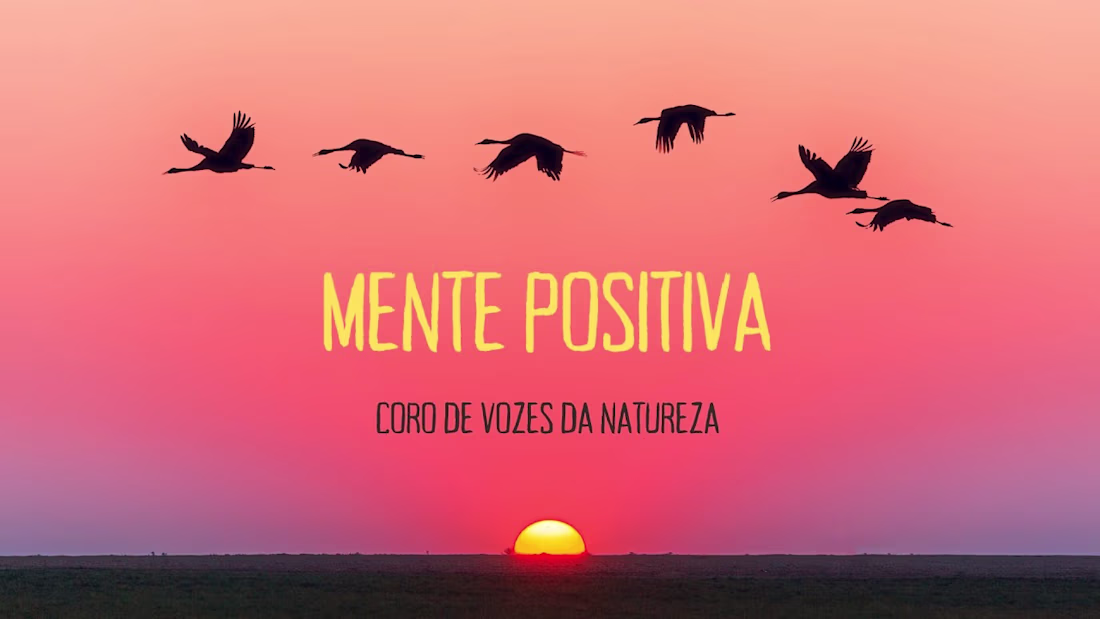 Cover image for Mente Positiva - Coro de Vozes da Natureza - YouTube