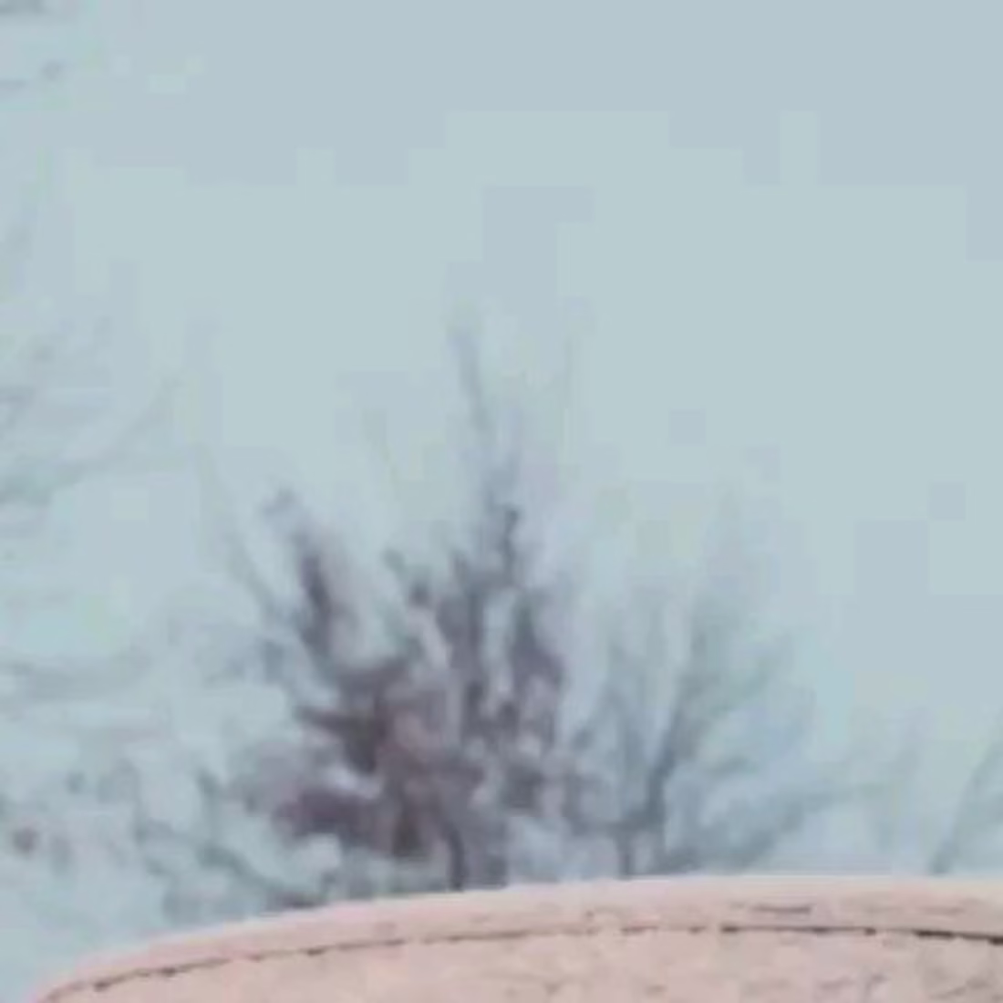 Cover image for Ford Mustang 