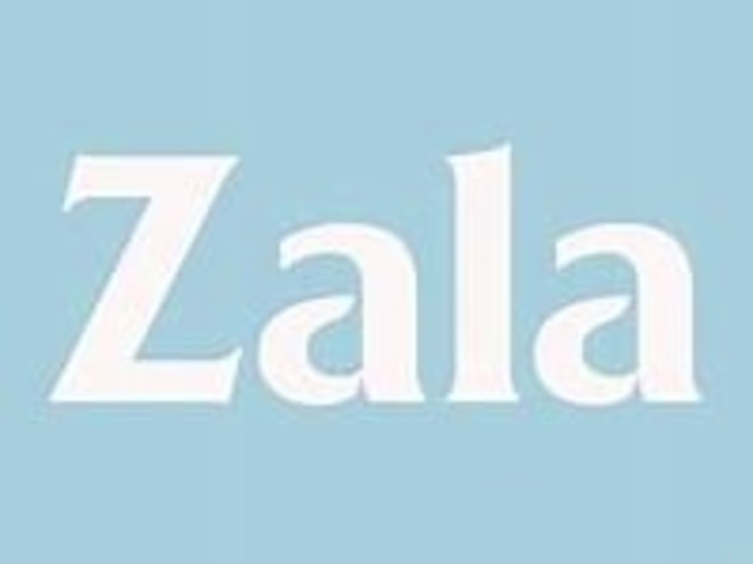 Cover image for Zala Hair Extensions