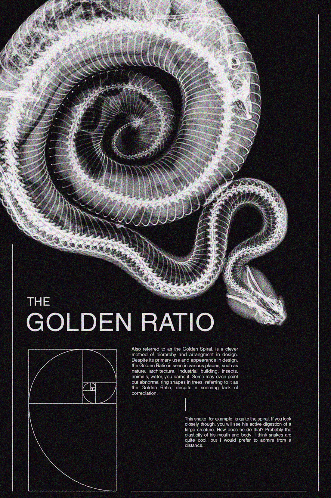 Cover image for A piece from my personal 30-day design challenge in Oct. 2025!