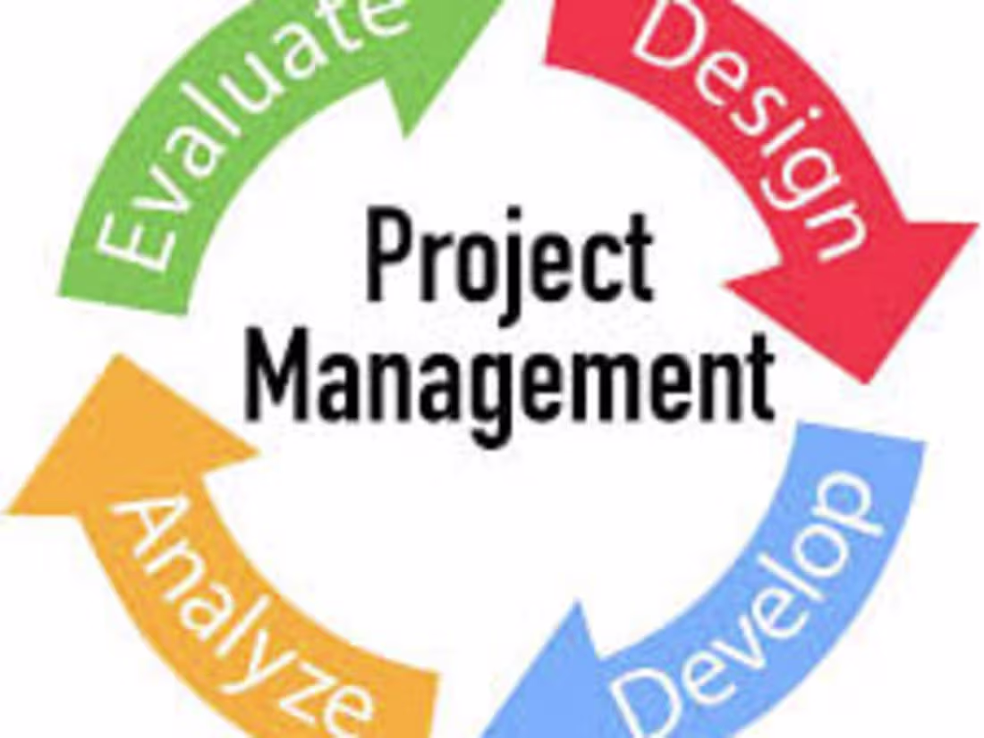 Cover image for Project Management