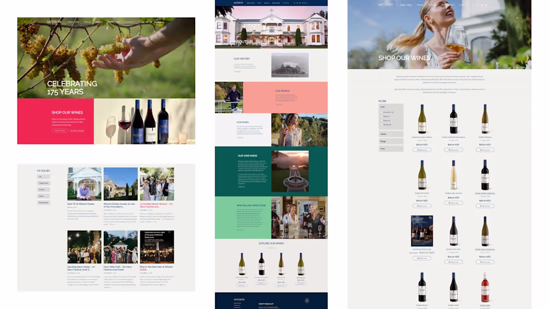 Cover image for : Developed the website by