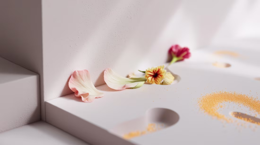 Cover image for Exploring visual concepts.