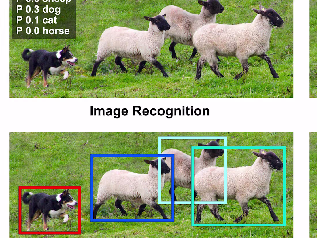 Cover image for Object Detection