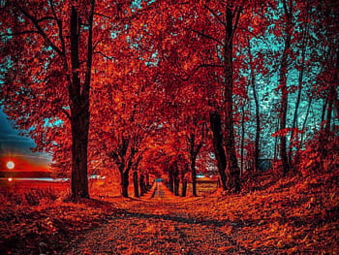 Cover image for editing 123