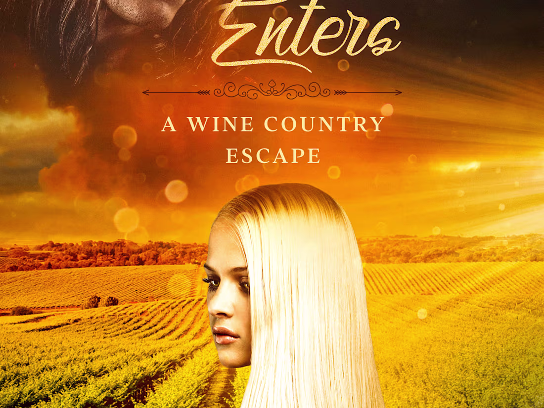 Cover image for Amazon.com: Where the Light Enters: A Wine Country Escape eBook…