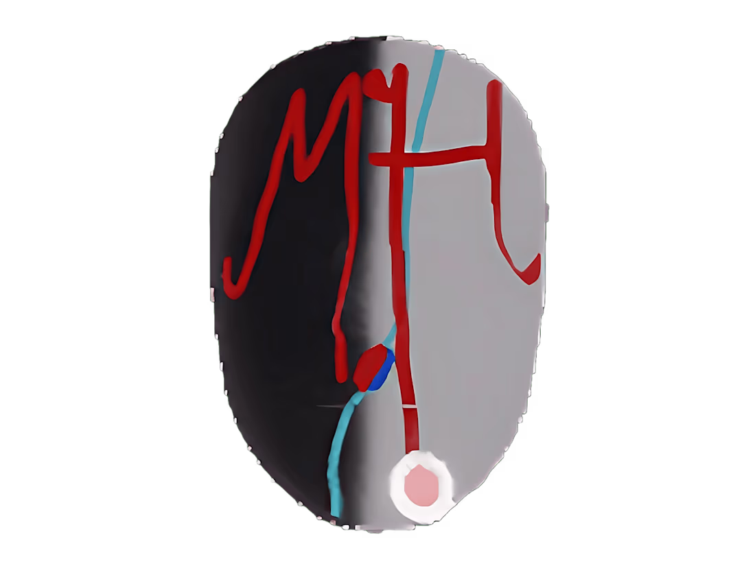 Cover image for Face Drawing 3D