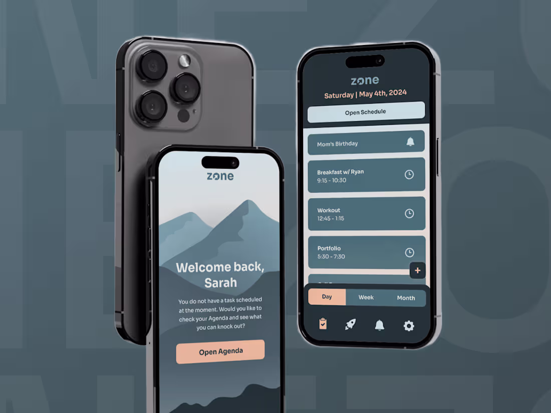 Cover image for Zone