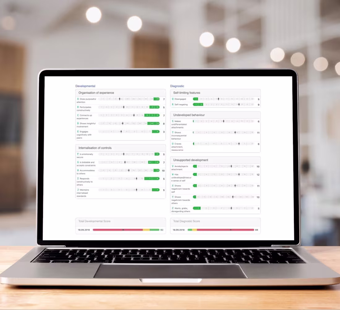 Cover image for Comprehensive Student Wellbeing Assessment Project