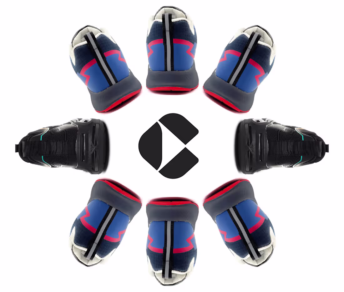 Cover image for Conforte Italia