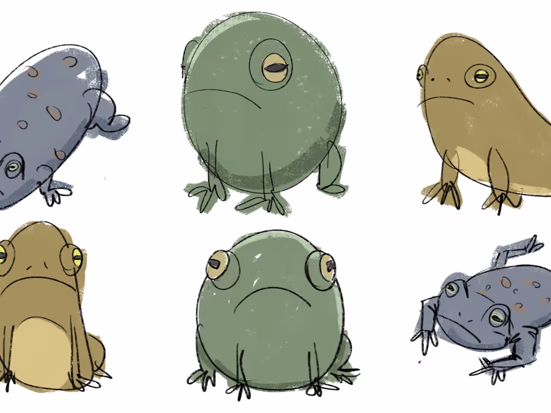 Cover image for Book Illustrations