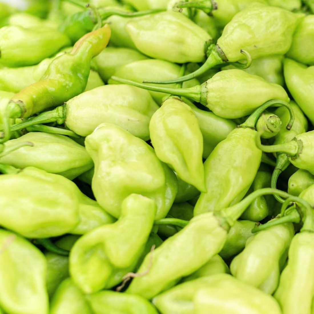 Cover image for Executive & Leadership Writing