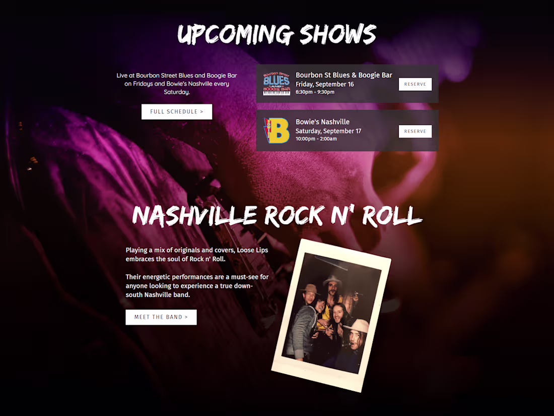 Cover image for Loose Lips