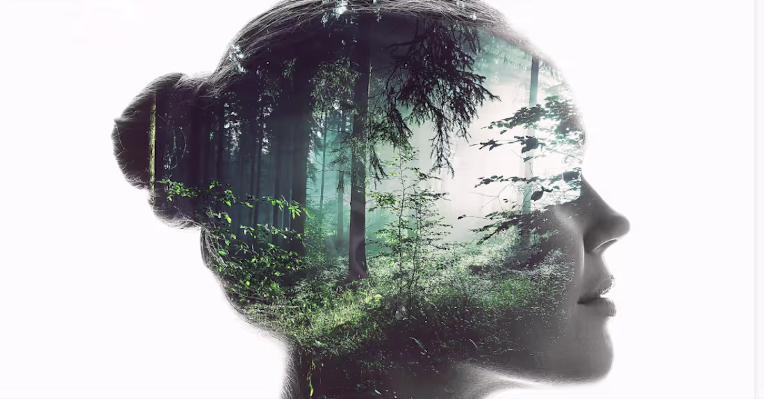 Cover image for 5 Tips to Help You Optimize Images for Digital Marketing