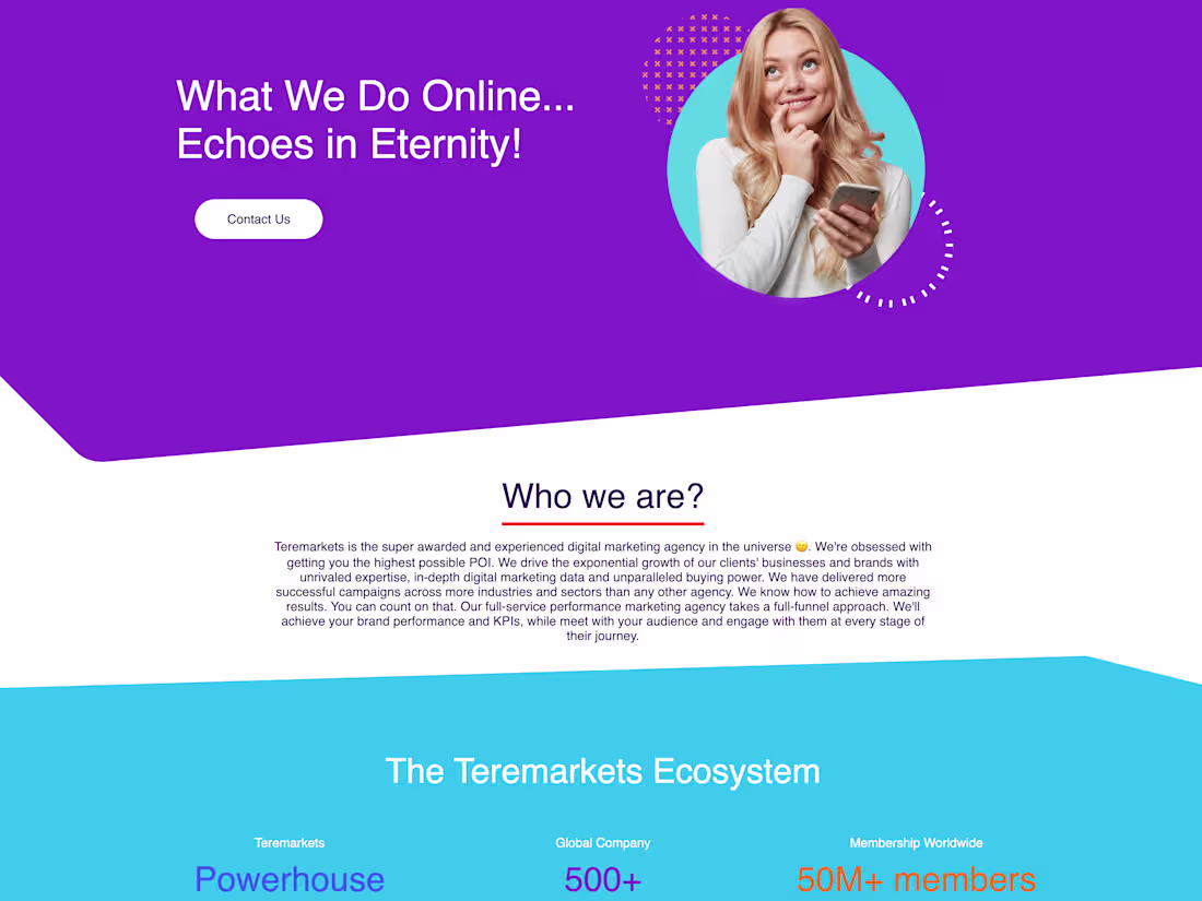 Cover image for Teremarkets