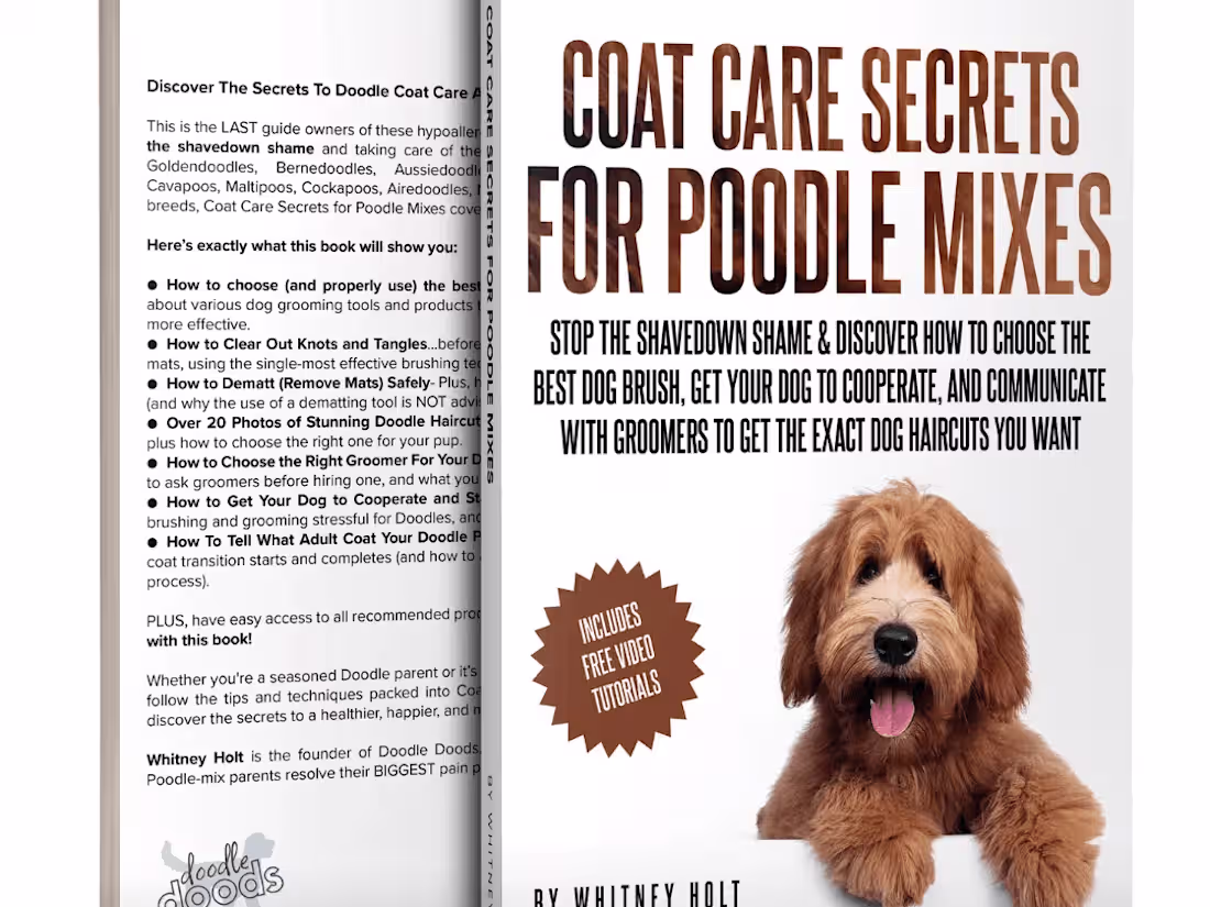 Cover image for Book Contributor: Coat Care Secrets For Poodle Mixes