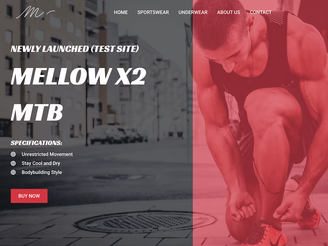 Cover image for Customized WordPress &WooCommerce Store Development and Design