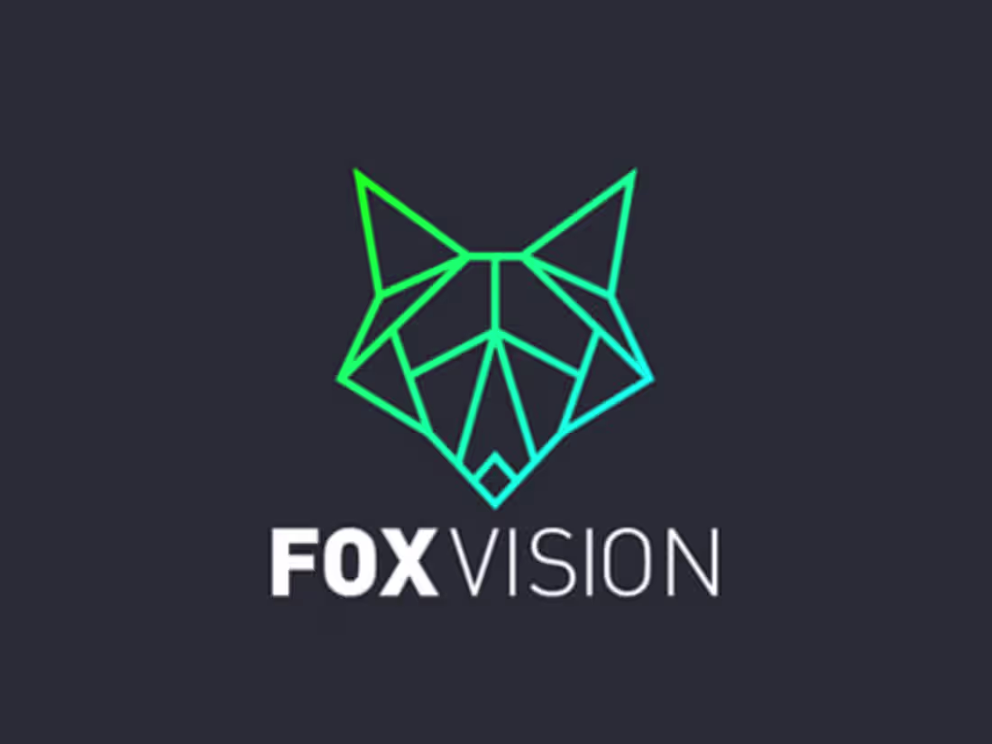 Cover image for Fox Vision - Branding