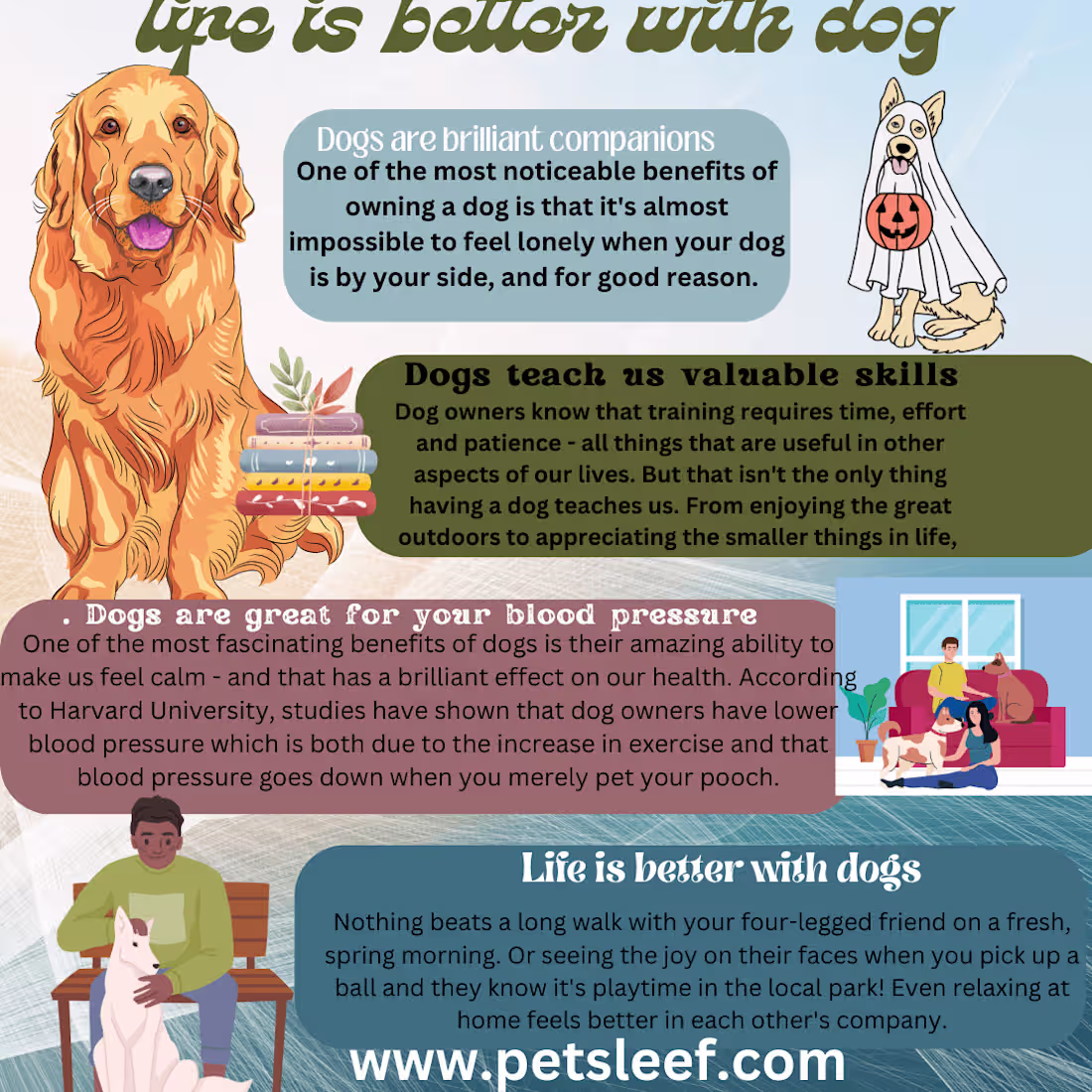 Cover image for professional infographics