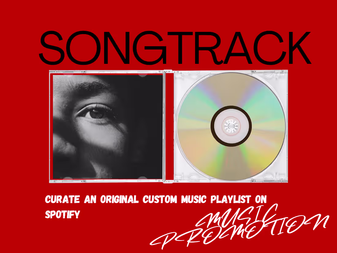 Cover image for I will curate an original custom music playlist on spotify