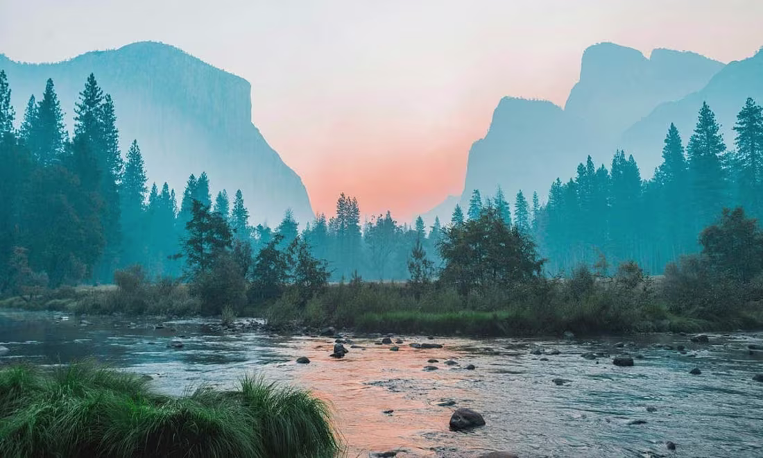 Cover image for Correlated Alignment