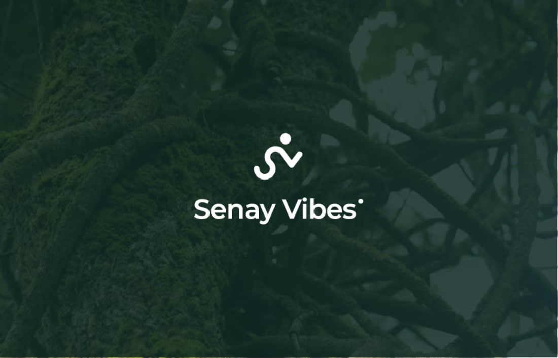 Cover image for Senay Vibes - Brand Identity on Behance