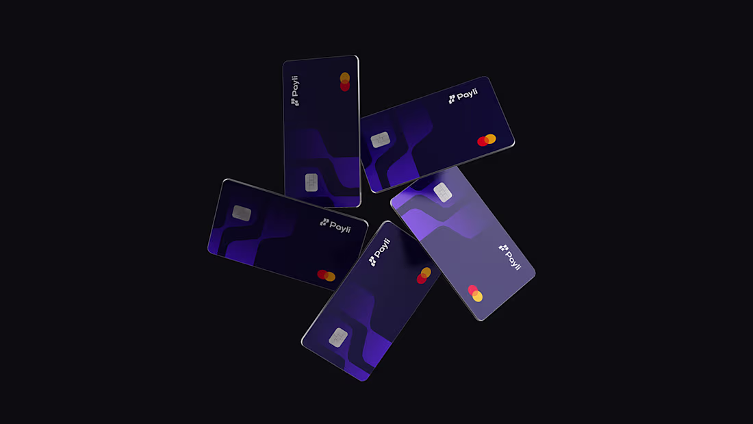 Cover image for Payli Brand Identity 