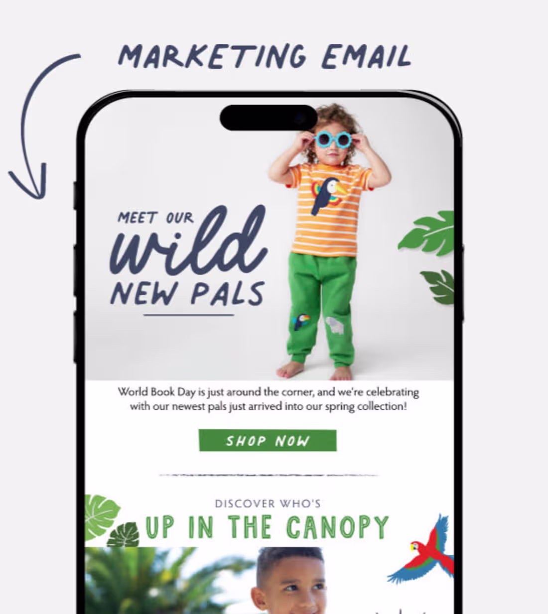 Cover image for Email Campaign Design